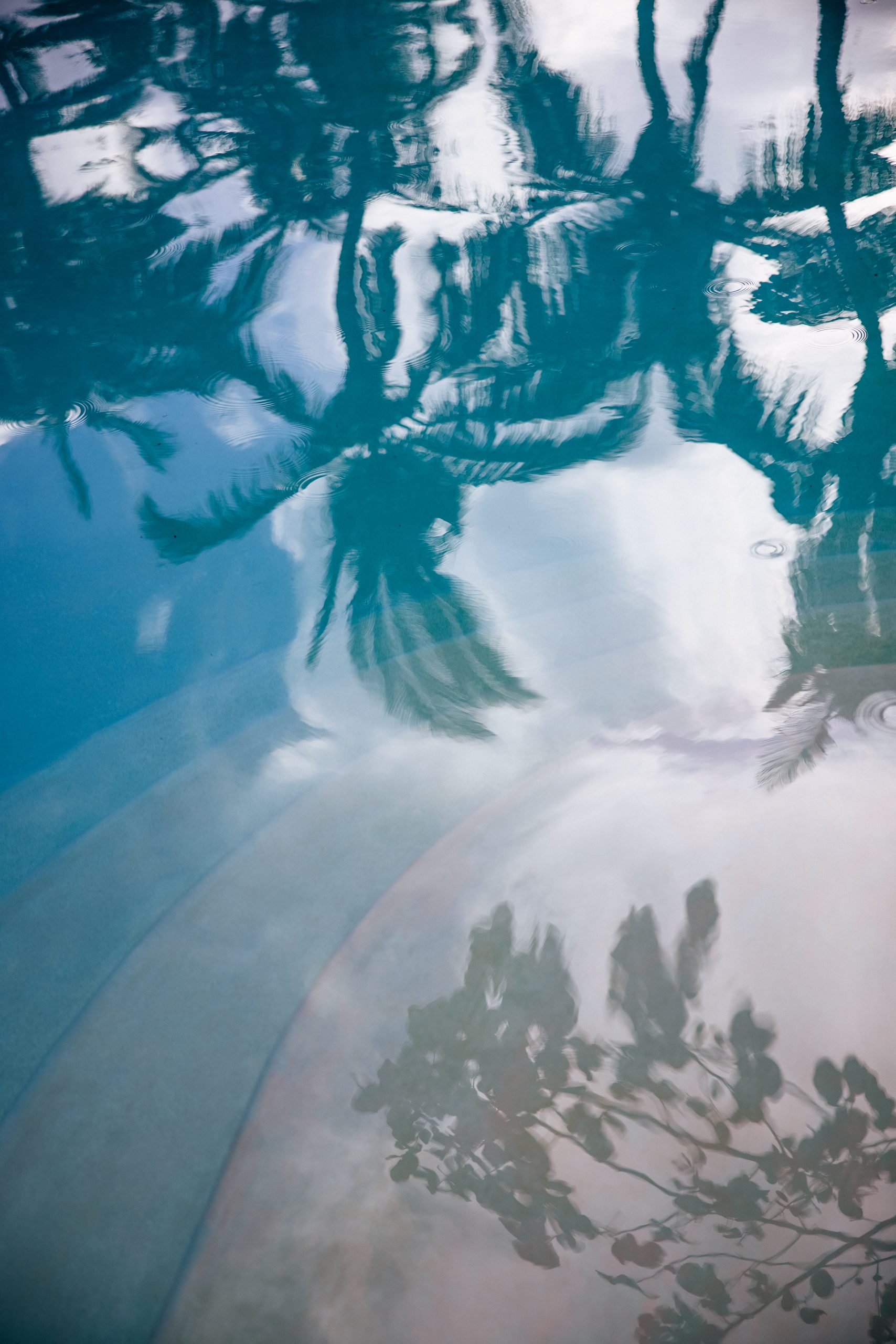 Close-up of pool water reflecting palm trees at Hotel Esencia, capturing the beauty wellness convergence at a luxury Riviera Maya wellness retreat
