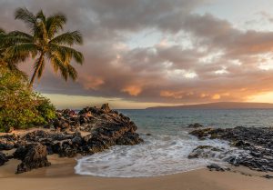 Rocky pacific palms ocean in Casa Marinas Saipan photo by Christian Joudrey
